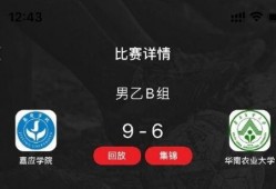 迪拜爆料网赌视频最新,一场惊心动魄的赌博风云